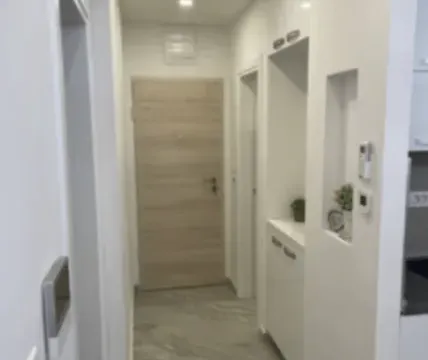 Rent, apartment, 40m², Bečići, Budva - image 3