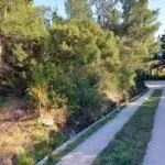 Prodaja, plac, 901m², Sutomore, Bar - image 7