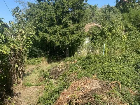 Prodaja, plac, 1290m², Jajinci, Voždovac Sve Podlokacije - image 4