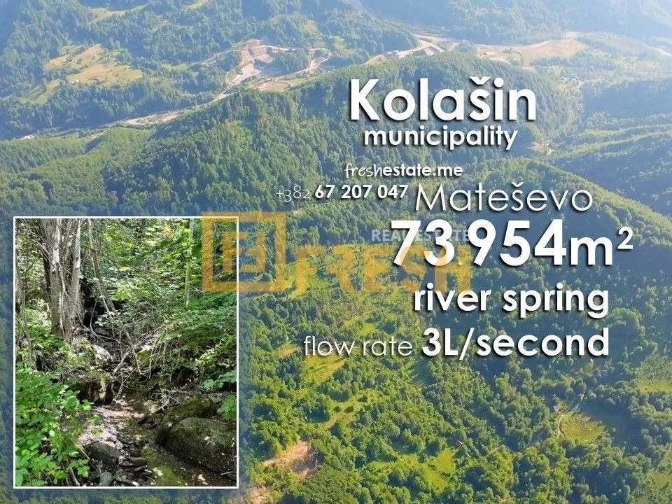 Prodaja, plac, 73954m², Kolašin, Crna Gora