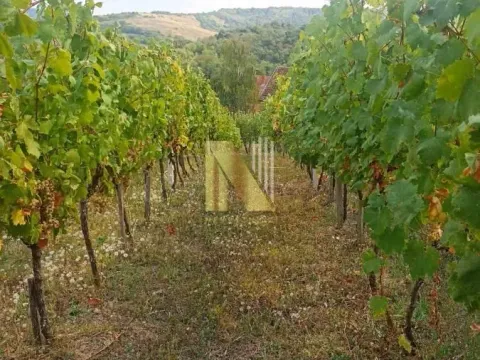 Prodaja, plac, 3900m², Beočin, Srbija - image 5