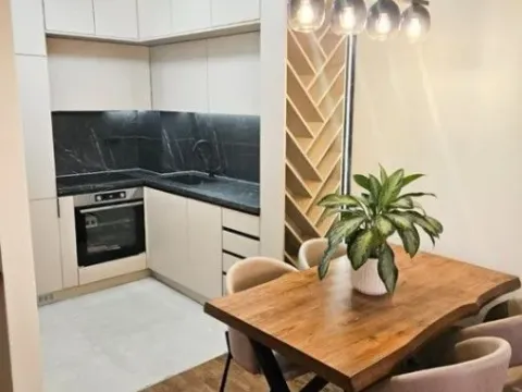 Izdavanje, jednosoban stan, 47m², Stari Aerodrom, Podgorica - image 3