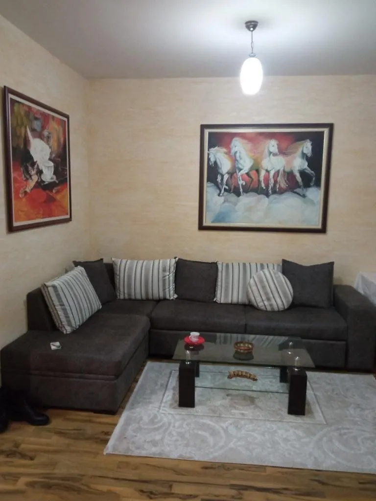 Izdavanje, jednosoban stan, 55m², Preko Morače, Podgorica