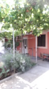 Dvorište ispred kuće sa lozom i zelenilom. - image 3