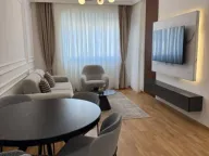 Izdavanje, jednosoban stan, 47m², Podgorica, Crna Gora - image 1