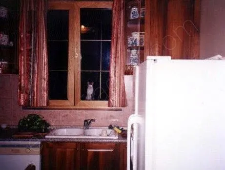 Prodaja, kuća, 160m², Kapitareva Gradina, Beograd - image 11