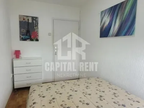 Izdavanje, dvosoban stan, 48m², Zvezdara Sve Podlokacije, Beograd - image 3