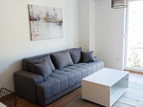One Bedroom Apartment for Rent, 42m2, Rozino, Budva One Bedroom Apartment for Rent, 42m2, Rozino, Budva