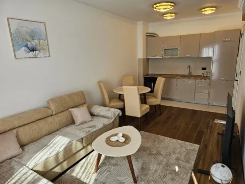 Izdavanje, jednosoban stan, 45m², Centar, Podgorica - image 7