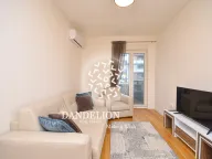 Izdavanje, jednosoban stan, 45m², Central Point, Podgorica - image 1