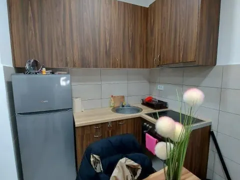 Izdavanje, jednosoban stan, 29m², Aqua park, Jagodina - image 16