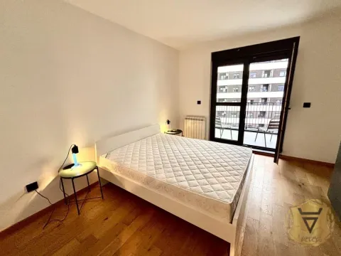 Izdavanje, dvosoban stan, 60m², Hala Pionir, Palilula Sve Podlokacije - image 8