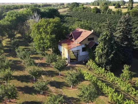 Sale, land lot, 190m², Kikinda, Srbija - image 4