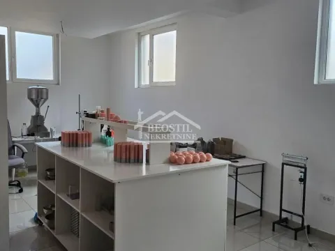 Rent, office space, 137m², Višnjica, Palilula Sve Podlokacije - image 6