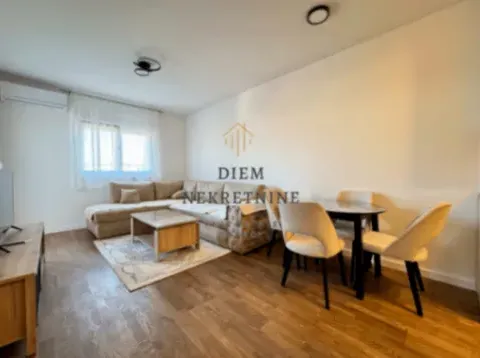 Izdavanje, jednosoban stan, 45m², Stari Aerodrom, Podgorica - image 12