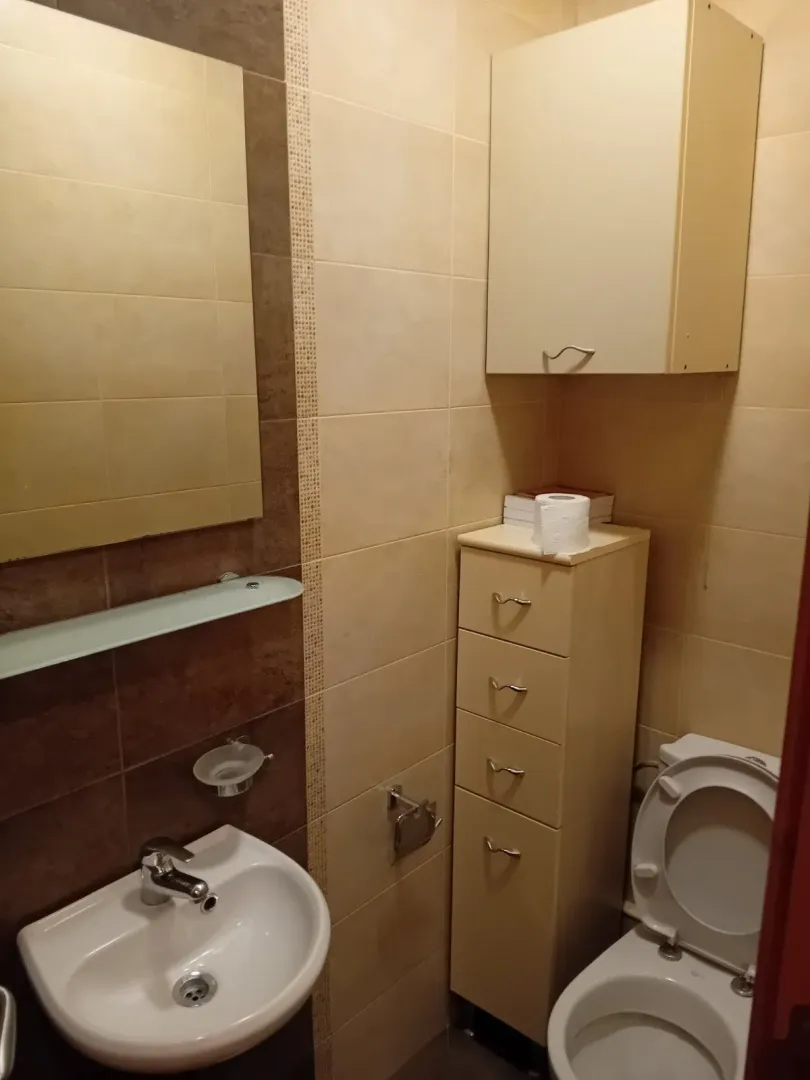 Small bathroom with a sink, mirror, toilet, and storage cabinet.