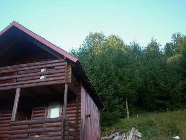 Drvena brvnara okružena šumom.