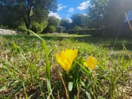 Sale, house, 219m², Pobrđe, Kotor - image 12