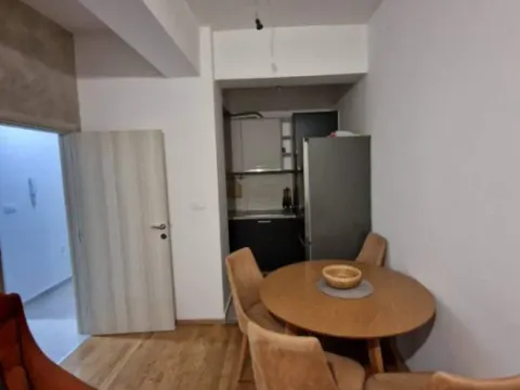 Izdavanje, jednosoban stan, 42m², Zagorič, Podgorica - image 4