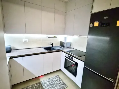 Izdavanje, jednosoban stan, 48m², Zabjelo, Podgorica - image 2