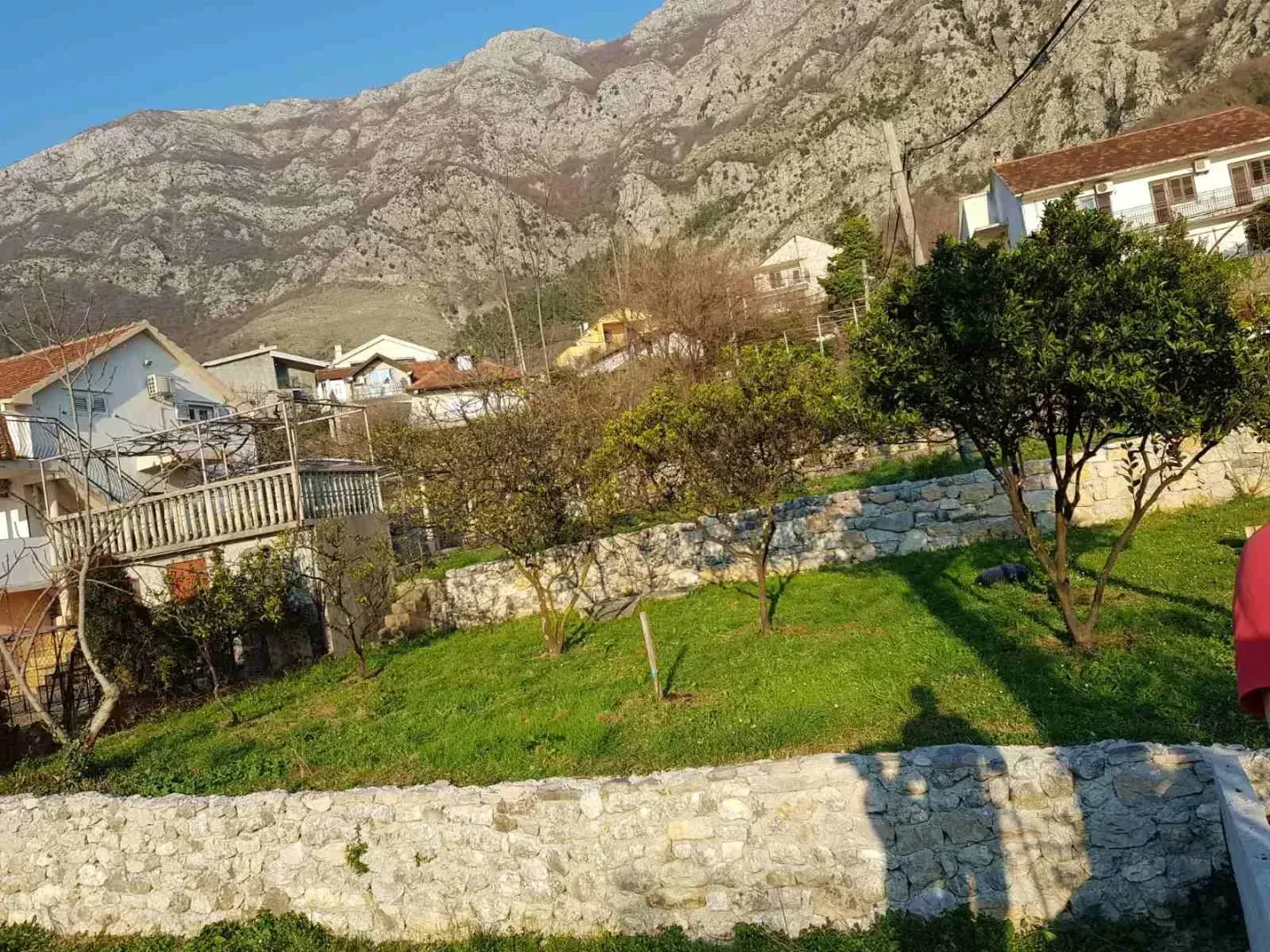 Green yard with trees and a view of the mountain and surrounding houses.