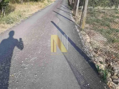 Prodaja, plac, 600m², Petrovaradin, Novi Sad - image 8