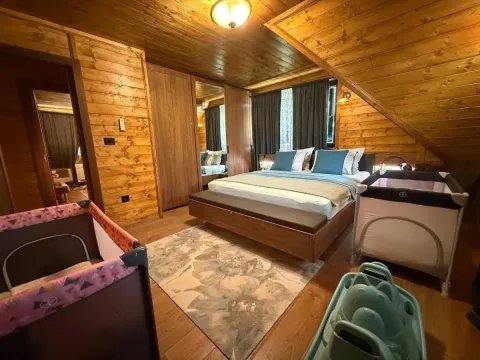 Prodaja, kuća, 270m², Petrovaradin, Novi Sad - image 66