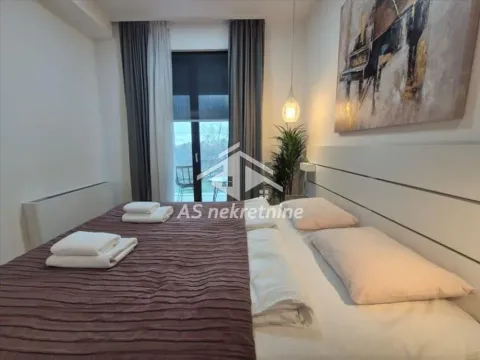 Izdavanje, dvosoban stan, 50m², Novi Beograd Blok 67, Novi Beograd Sve Podlokacije - image 15