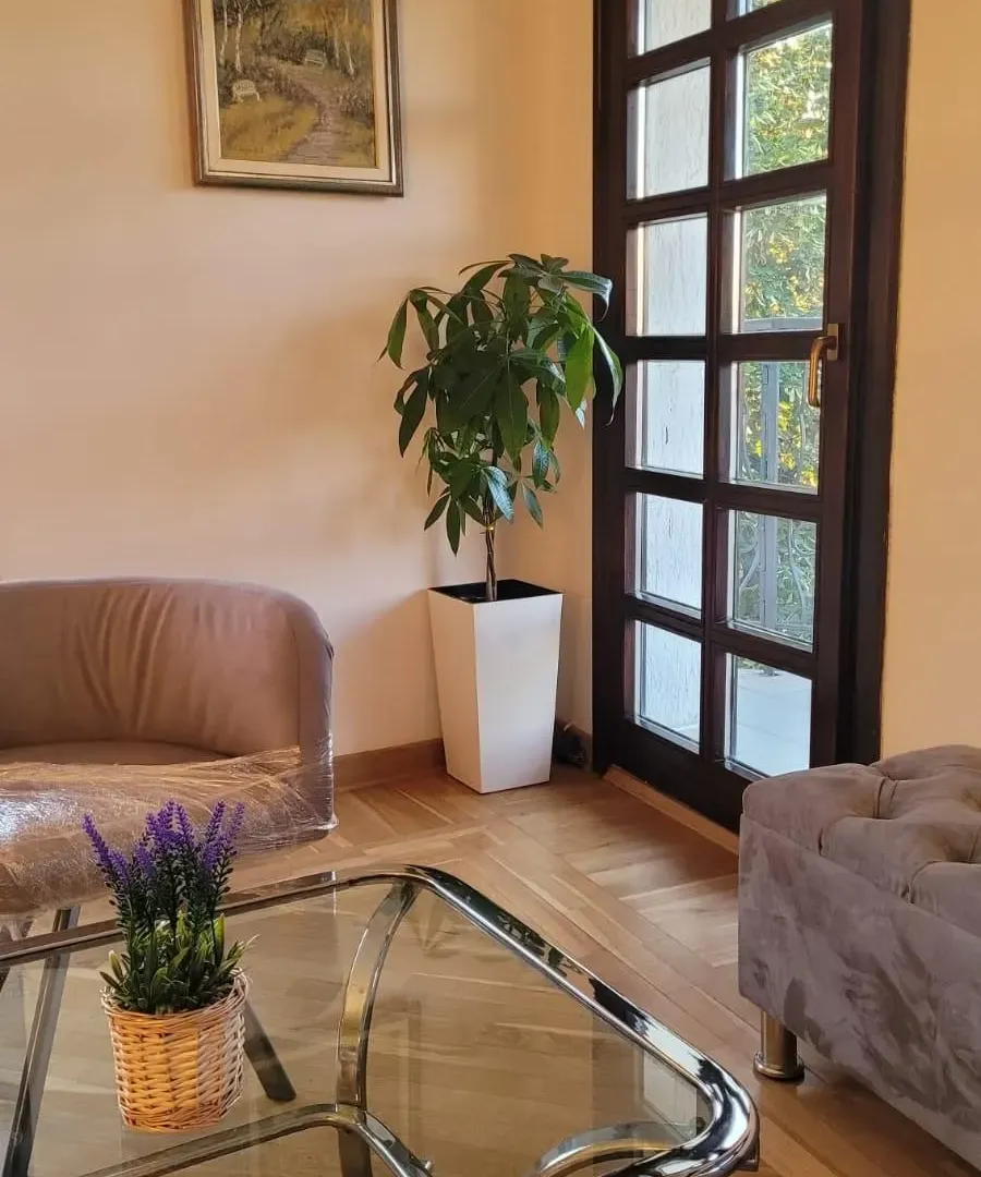 Rent, four bedroom apartment, 94m², Vračar Hram, Vračar Sve Podlokacije