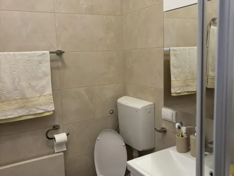 Prodaja, jednosoban stan, 63m², Vračar Sve Podlokacije, Beograd - image 7