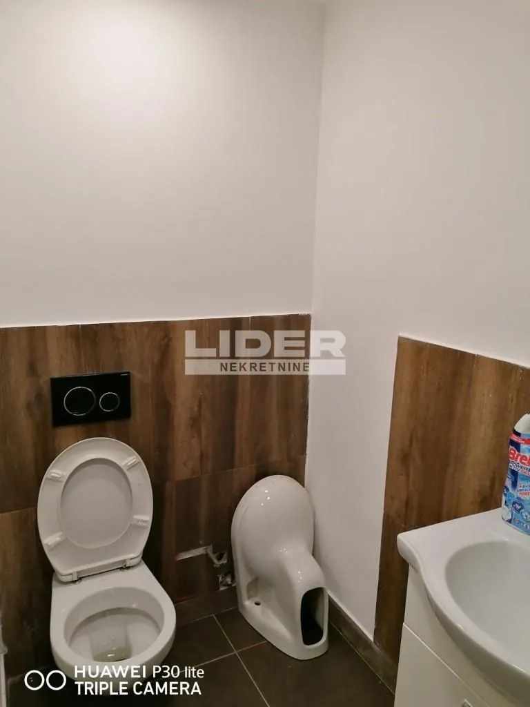 Izdavanje, dvosoban stan, 65m², Zemun Centar, Zemun Sve Podlokacije
