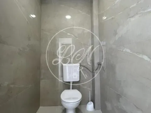 Izdavanje, poslovni prostor, 228m², Altina, Beograd - image 6