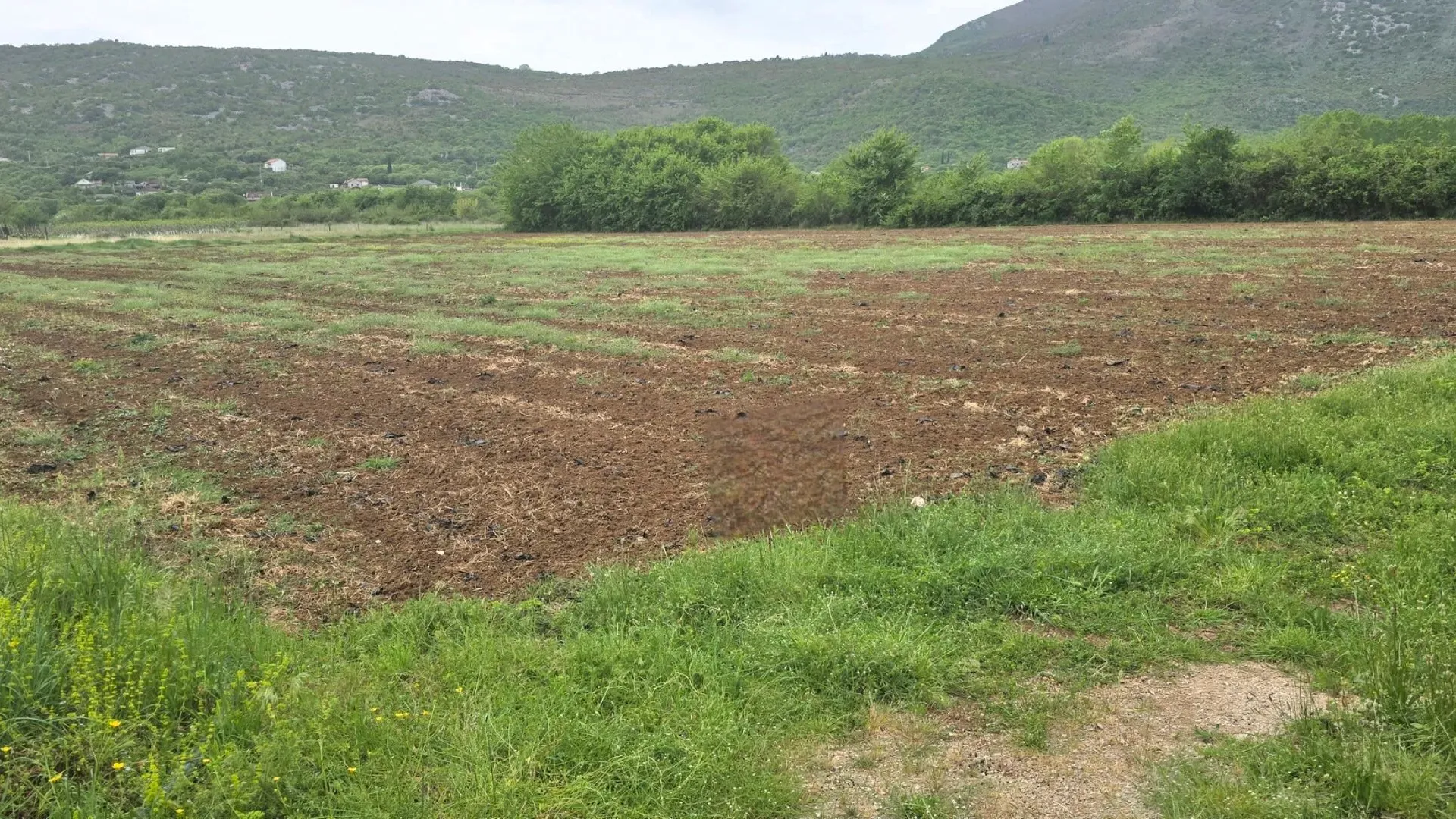 Sale, land lot, 7410m², Beri, Podgorica