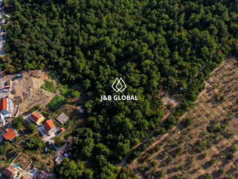 Prodaja, plac, 7500m², Kavač, Kotor - image 3