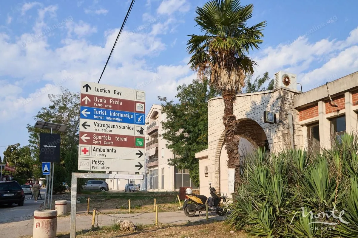 Pogled na ulicu sa putokazima i palmom ispred zgrade.