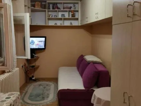 Izdavanje, garsonjera, 25m², Jodna Banja, Novi Sad Sve Podlokacije - image 1