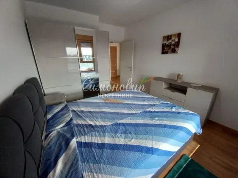 Rent, two bedroom apartment, 58m², Novi Beograd Blok 65, Novi Beograd Sve Podlokacije - image 9
