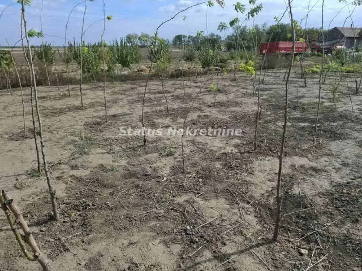 Prodaja, kuća, 257m², Mali Idjoš, Srbija
