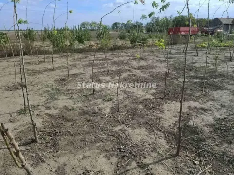 Sale, house, 257m², Mali Idjoš, Srbija - image 21