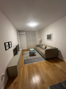 Izdavanje, jednosoban stan, 43m², Central Point, Podgorica - image 2