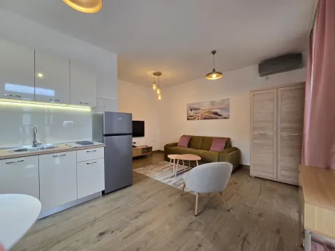 Rent, studio apartment, 25m², Momišići, Podgorica - image 5