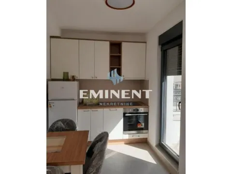 Izdavanje, dvosoban stan, 45m², Palilula Sve Podlokacije, Beograd - image 3