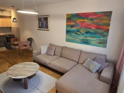 Izdavanje, jednosoban stan, 50m², Central Point, Podgorica - image 9