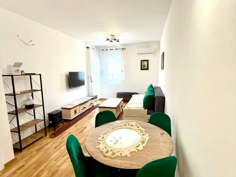 Izdavanje, jednosoban stan, 46m², Zagorič, Podgorica - image 4