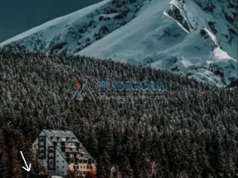 Prodaja, kuća, 320m², Žabljak, Crna Gora - image 7