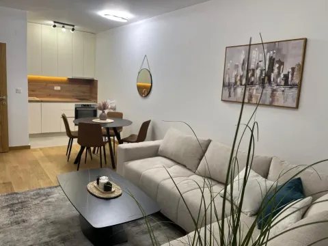 Rent, one bedroom apartment, 43m², City Kvart, Podgorica - image 1