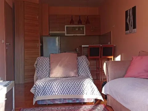 Rent, one bedroom apartment, 32m², Vezirov Most, Podgorica - image 4