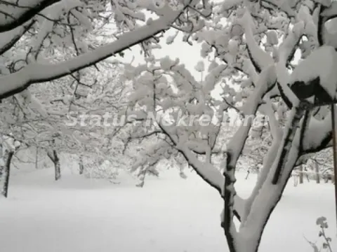 Prodaja, plac, 2100m², Inđija, Srbija - image 7