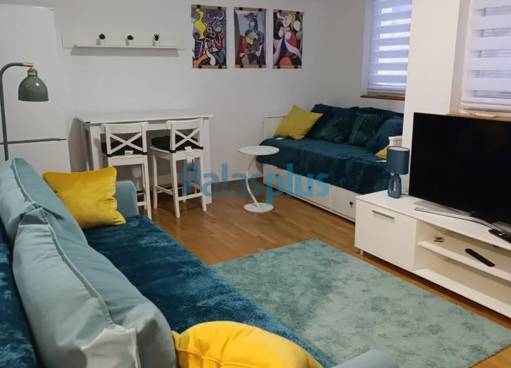 Izdavanje, jednosoban stan, 31m², Olimp, Zvezdara Sve Podlokacije