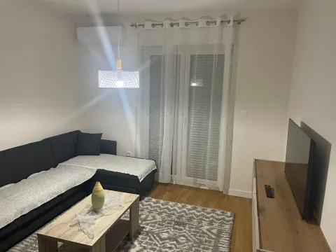 Rent, one bedroom apartment, 40m², Zabjelo, Podgorica - image 3